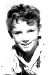 Peter Miles profile picture