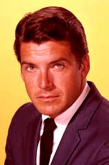 Van Williams