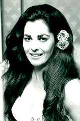Edy Williams profile picture