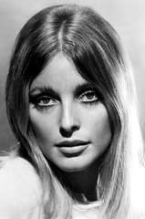 Sharon Tate profile picture