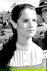 Melissa Newman profile picture