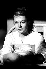 Rita Lupino profile picture