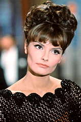 Suzanne Lloyd profile picture