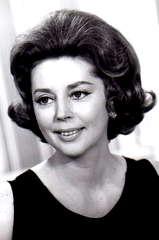 Anne Vernon profile picture