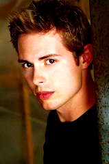 Daniel Kountz profile picture