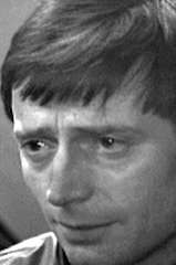 Terry Scully profile picture