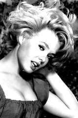 Joey Heatherton profile picture