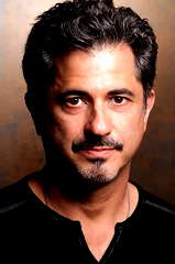Robert Cicchini profile picture