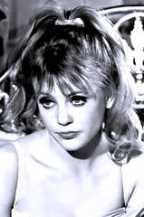 Vanessa Howard profile picture