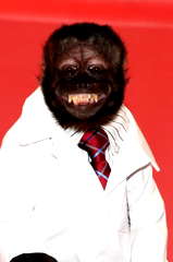 Crystal the Monkey