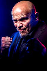 Janos Tiborcz profile picture