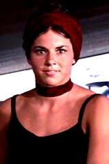 Donna Garrett profile picture