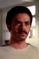 Anton Phillips profile picture