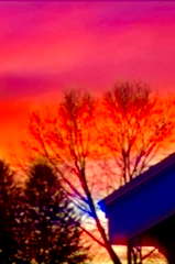 The Sunset