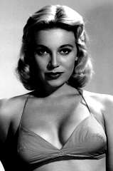Sally Todd profile picture