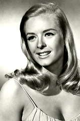 Carole Wells profile picture