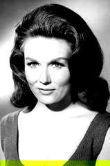 Elaine Devry profile picture
