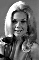 Lynn Borden profile picture