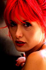 Alma Saraci profile picture