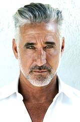 Todd Gordon profile picture