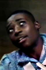 Stephen Perry profile picture