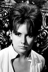 Jacquie Wallis profile picture