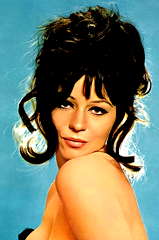 Dorit Dom profile picture