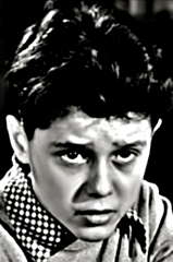 Michel Dumur profile picture