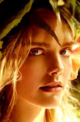 Dani Seitz profile picture