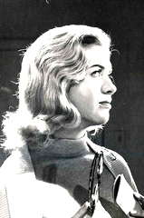 Anne Collings profile picture