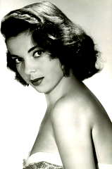 Abbe Lane profile picture