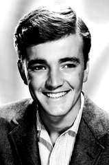 Robert Walker Jr. profile picture