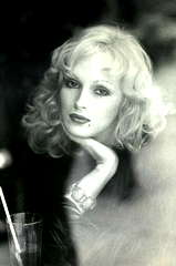 Candy Darling profile picture