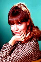 Barbara Feldon profile picture