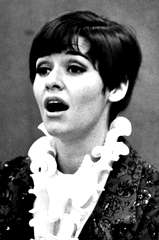 Marcia Rodd profile picture
