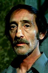 Luis Ciges profile picture