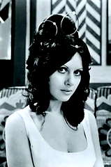 Valli Kemp profile picture