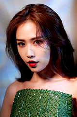 Liu Meitong profile picture