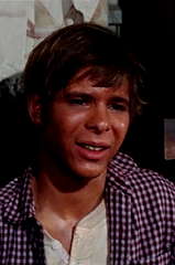 Peter Lazer profile picture