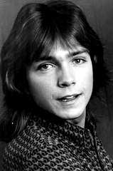 David Cassidy profile picture