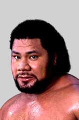 Tonga Fifita
