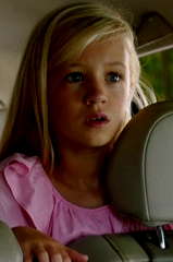 Liz Vergeer profile picture