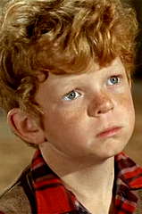 Johnny Whitaker profile picture