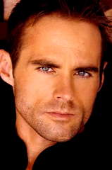 Steve Callahan profile picture