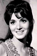 Linda Marsh profile picture