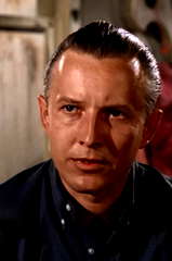Jan Merlin profile picture