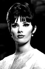 Beverly Adams profile picture