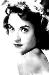 Sonia Furió profile picture