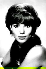 Elsa Martinelli profile picture