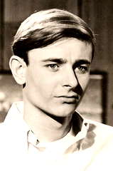 Peter Brooks profile picture